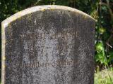 image of grave number 795929